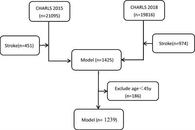 A predictive model for social participation of middle-aged and older adult stroke survivors: the China Health and Retirement Longitudinal Study